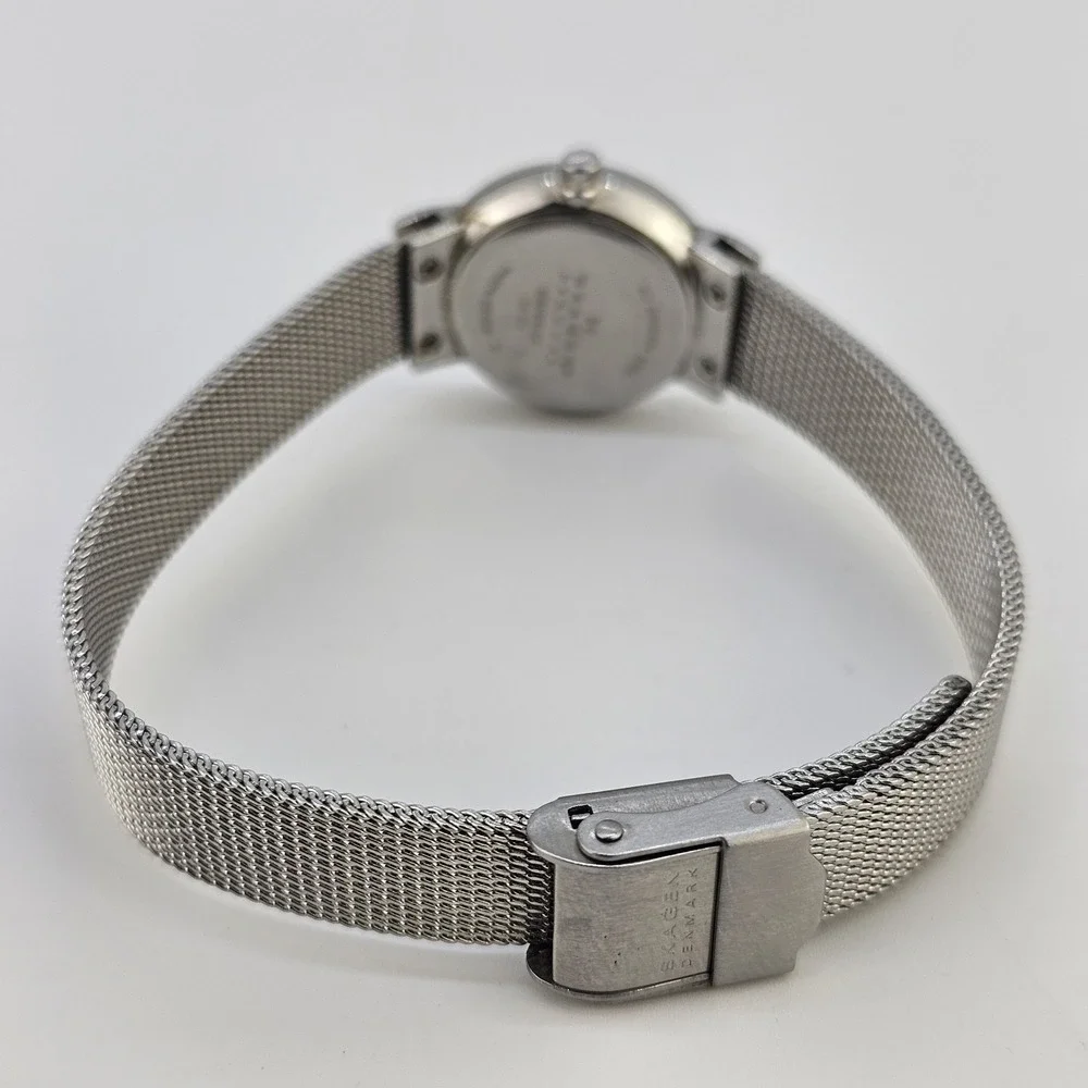 Skagen‎ Women's Analog Watch 22MM Gray Dial Gray Mesh Bands New Battery
